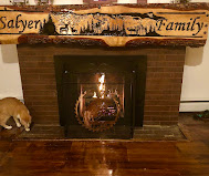 dealer logo
