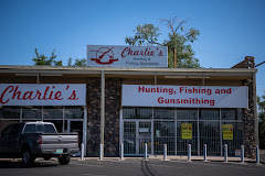 dealer logo