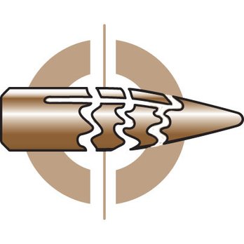 dealer logo